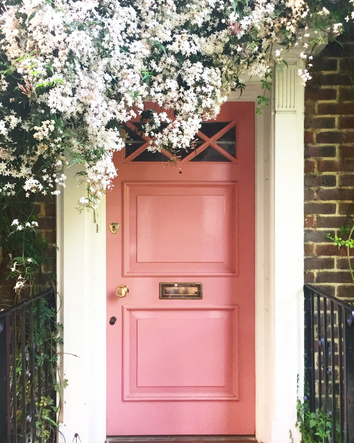 Holland Park pink door jasmine