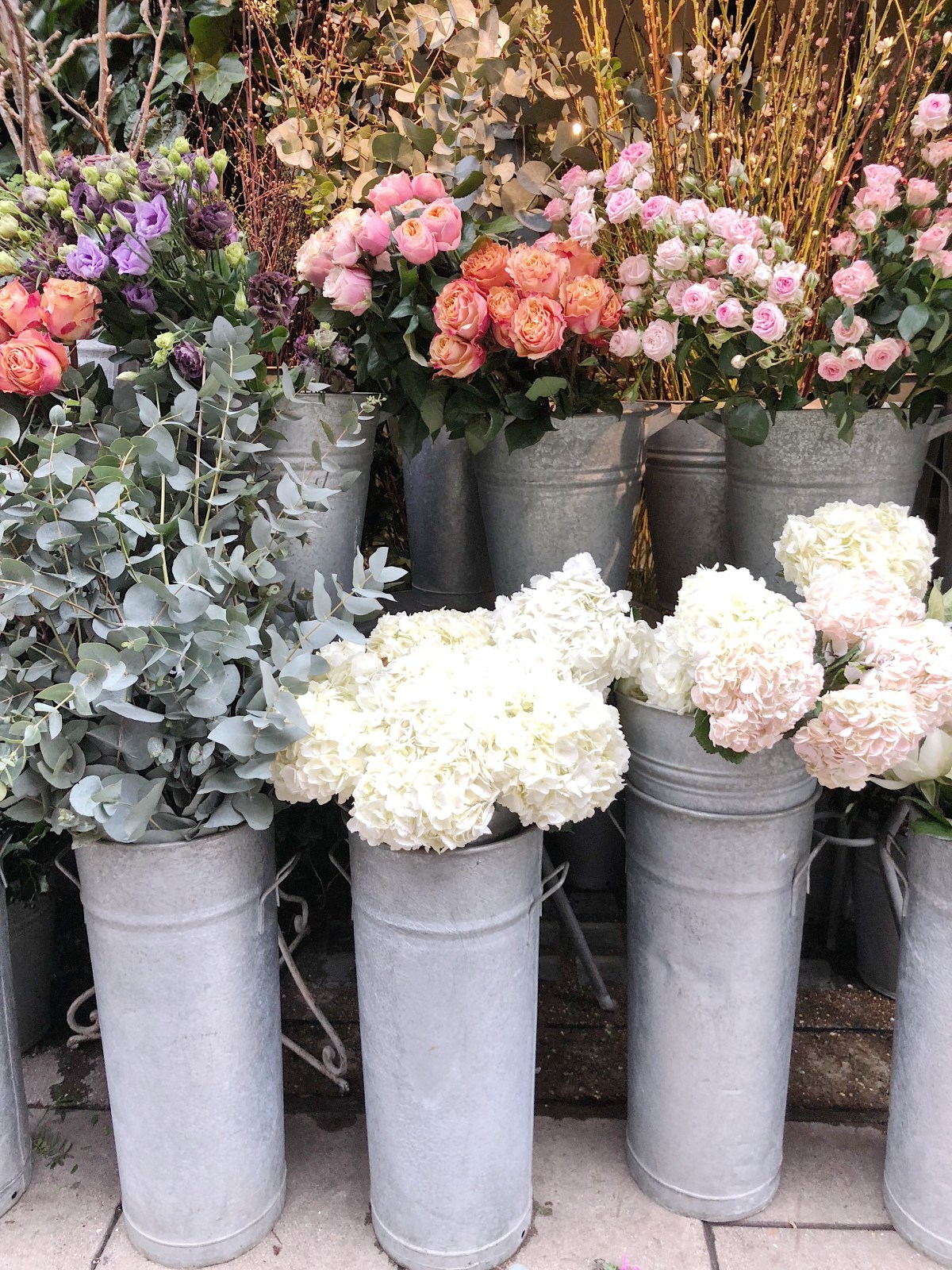 78D25C55-5DDE-46BB-9B67-A1C3D006ABF4